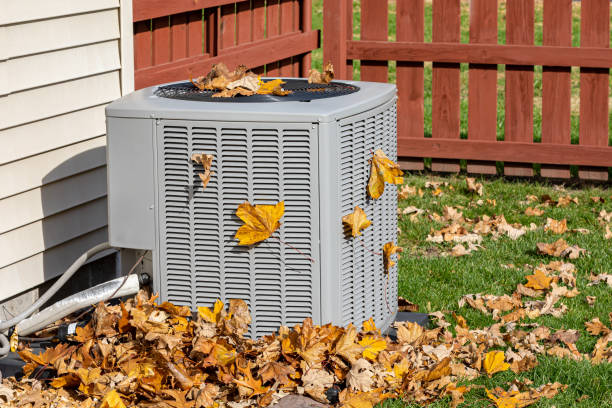Best HVAC Companies Near Me  in Amargosa Valley, NV
